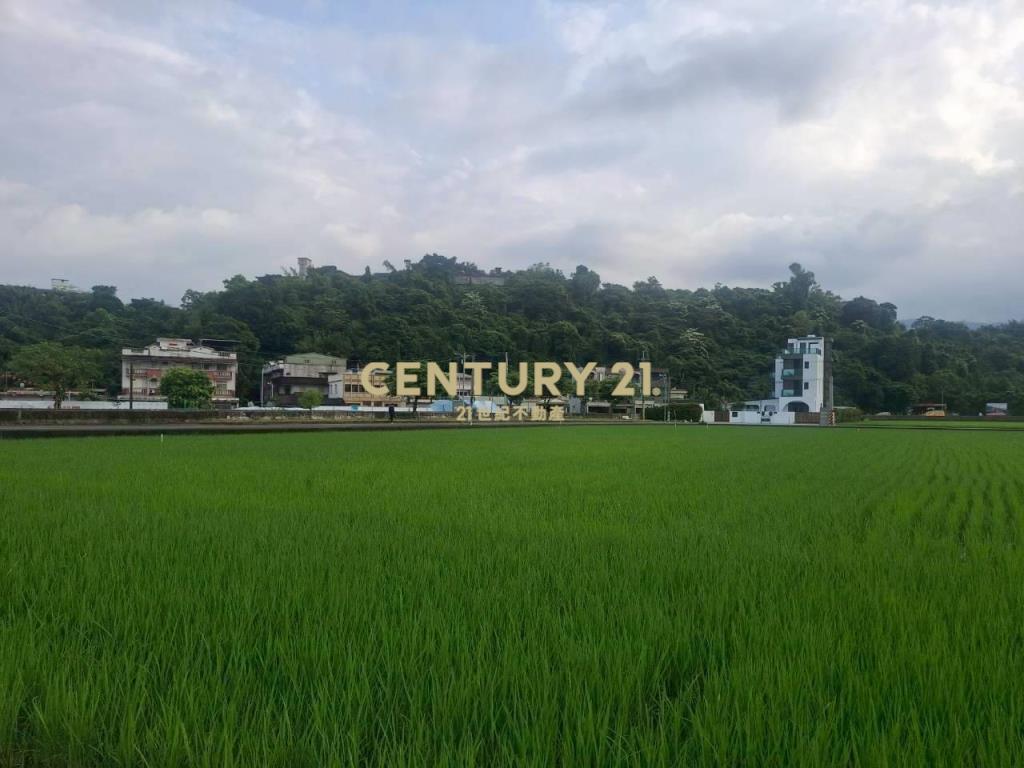 CD166冬山有山有水蓋獨棟美建地