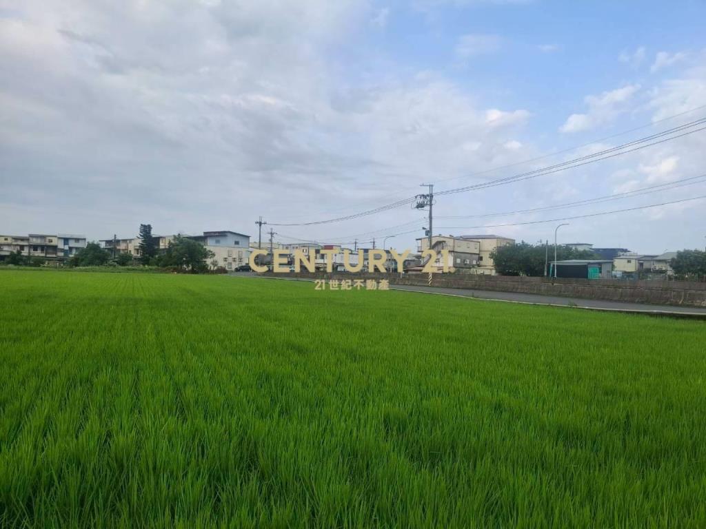 CD166冬山有山有水蓋獨棟美建地