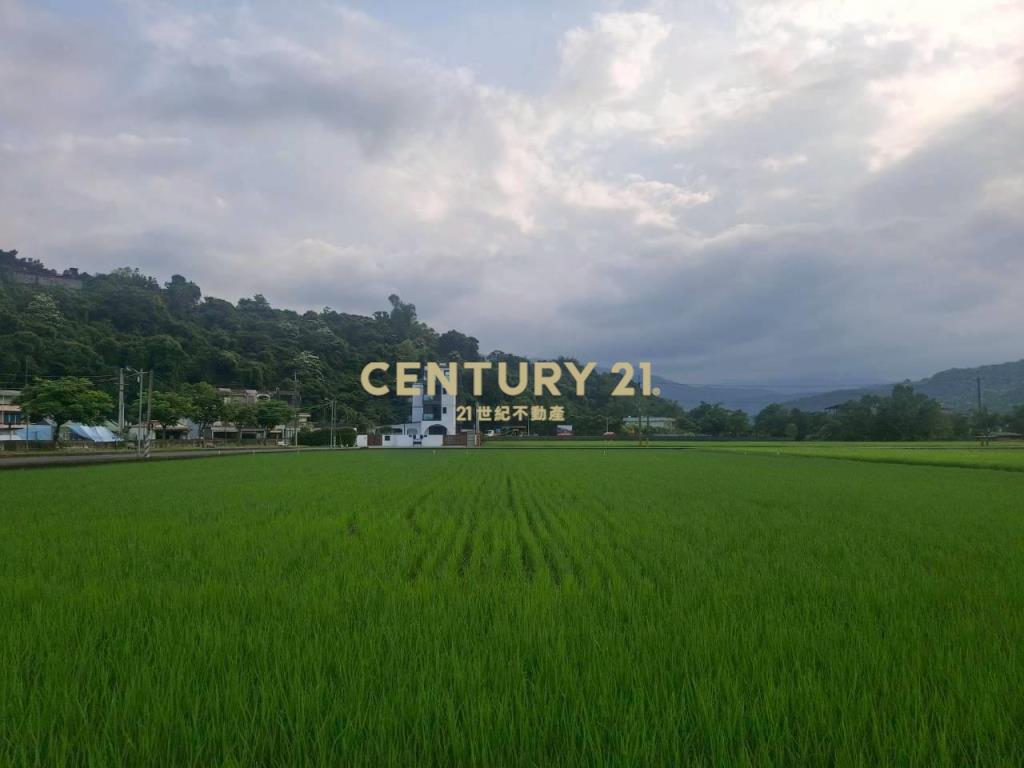 CD166冬山有山有水蓋獨棟美建地