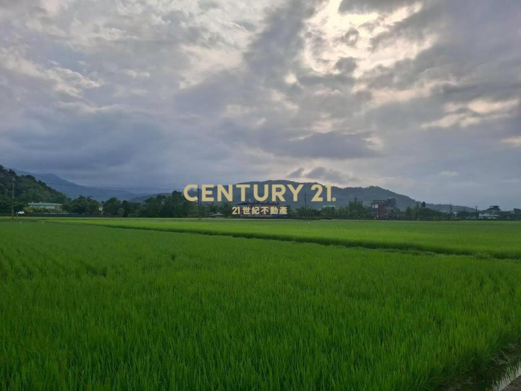 CD166冬山有山有水蓋獨棟美建地