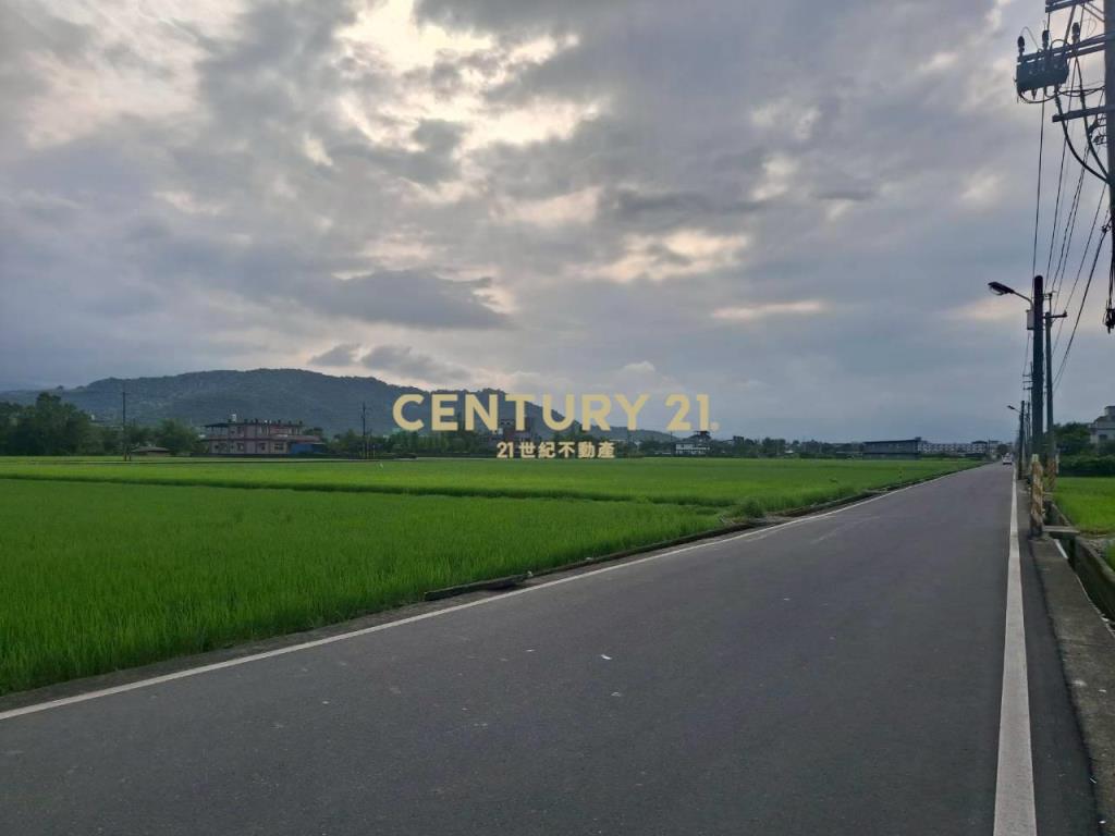 CD166冬山有山有水蓋獨棟美建地