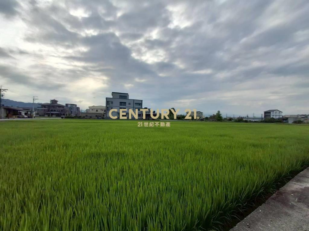 CD166冬山有山有水蓋獨棟美建地