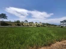 CC598壯圍投資好入手農地