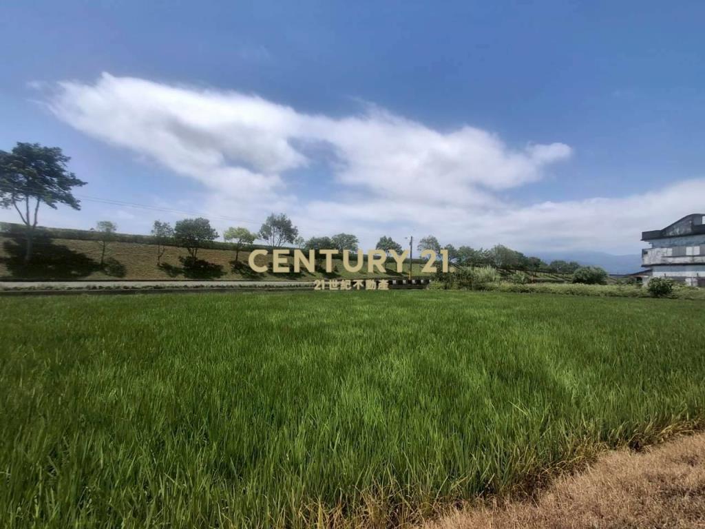 CC598壯圍投資好入手農地