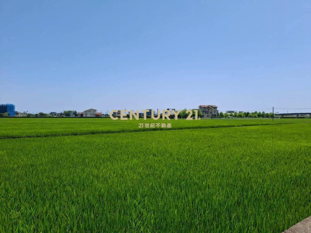 CC598壯圍投資好入手農地