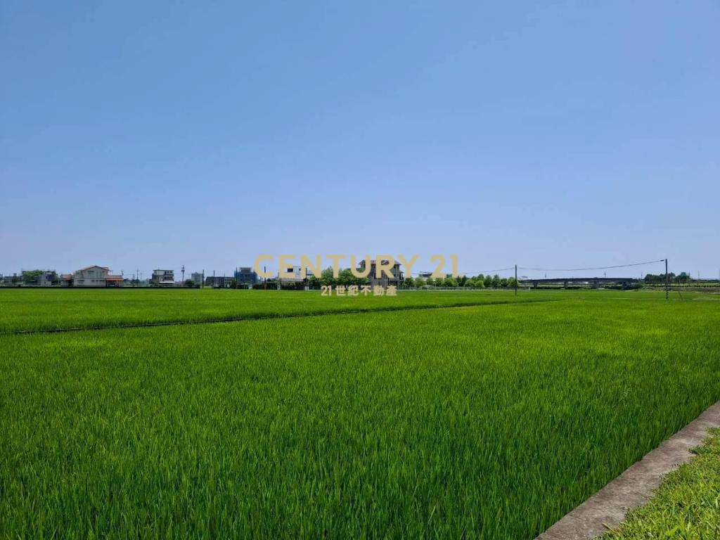 CC598壯圍投資好入手農地