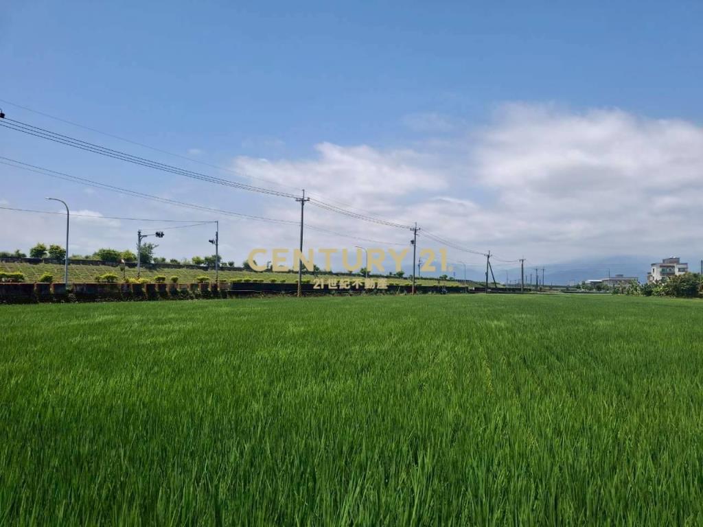 CC598壯圍投資好入手農地