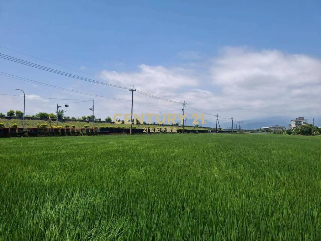 CC598壯圍投資好入手農地