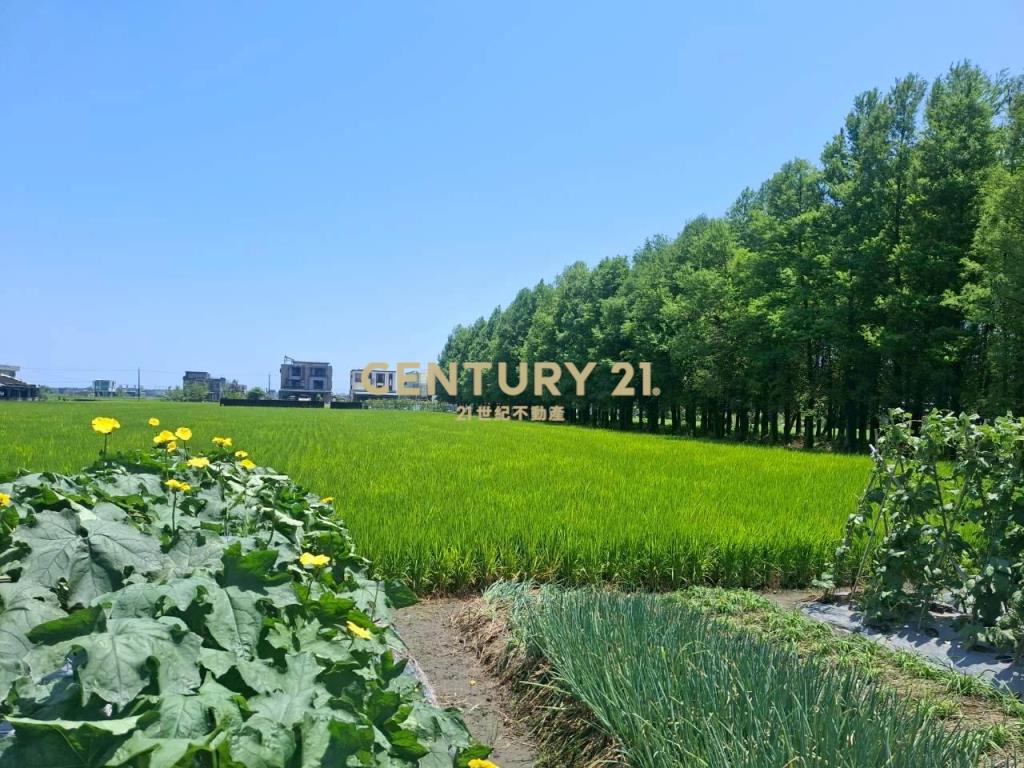 CC598壯圍投資好入手農地