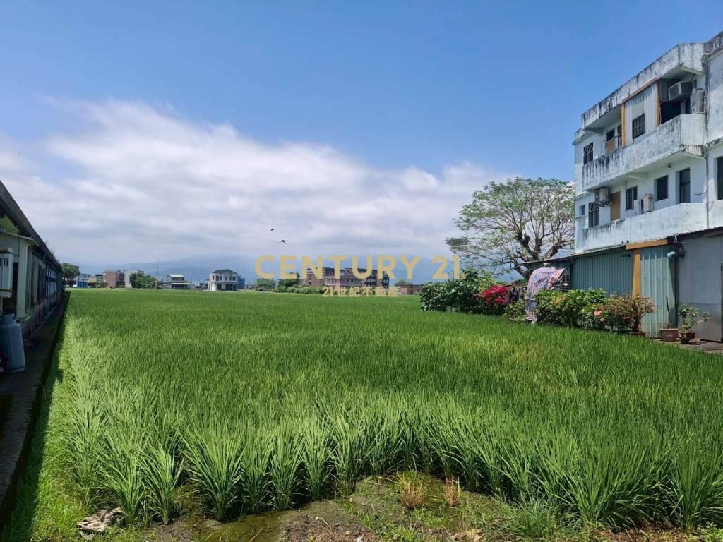 CC598壯圍投資好入手農地