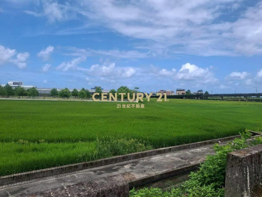 CC599壯圍金三角小農地