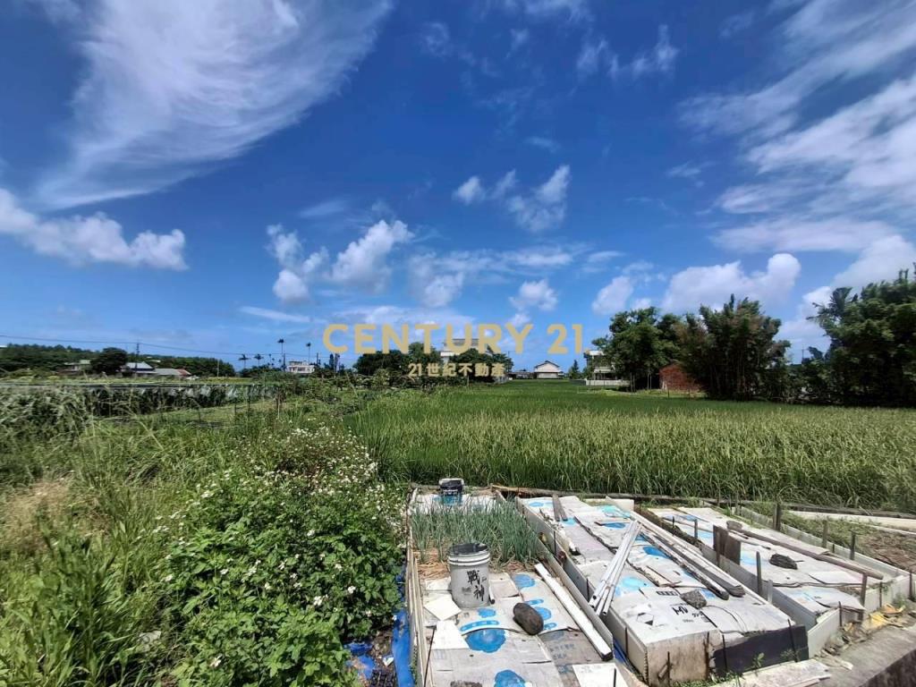 CC599壯圍金三角小農地
