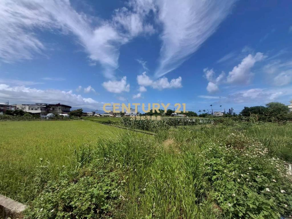CC599壯圍金三角小農地