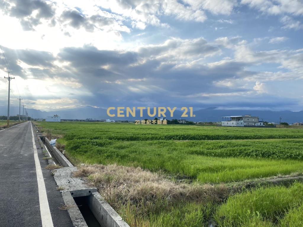 CC601近高鐵特區大面寬農地