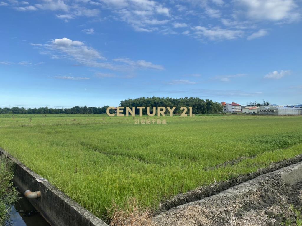 CC601近高鐵特區大面寬農地