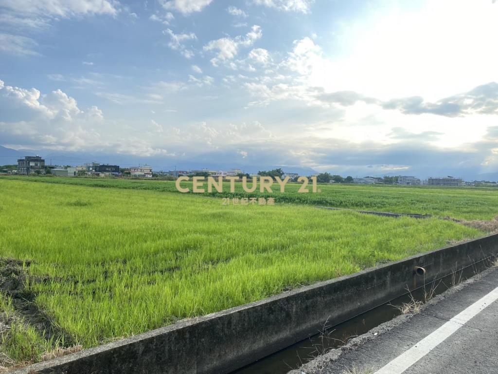 CC601近高鐵特區大面寬農地