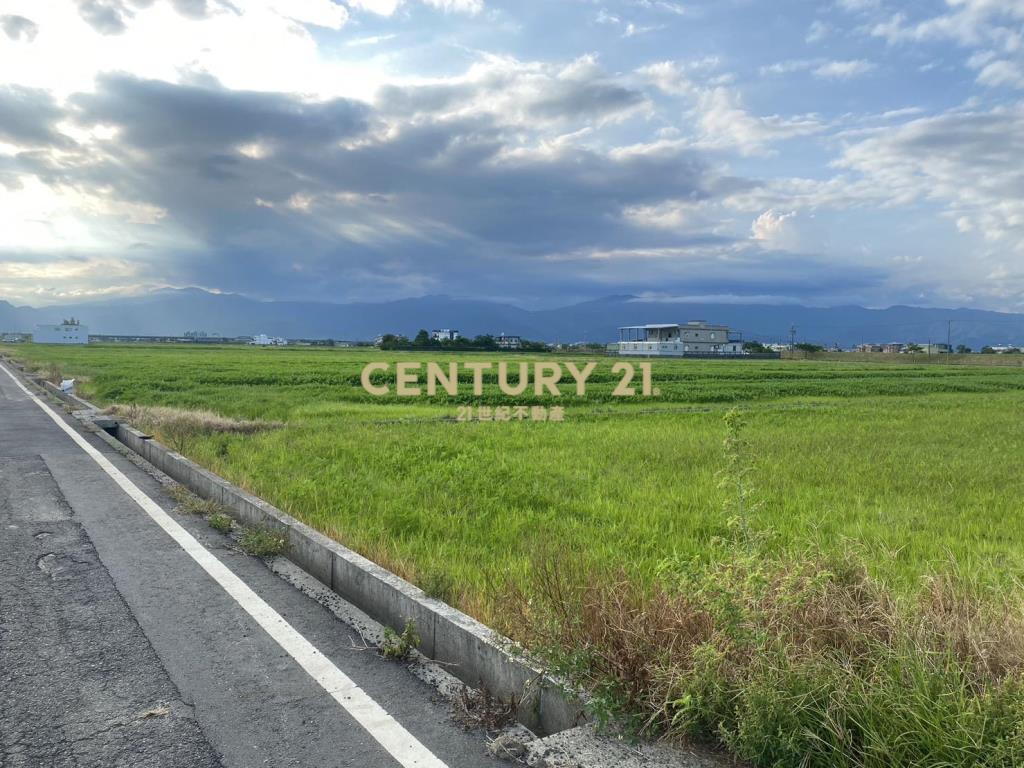 CC601近高鐵特區大面寬農地