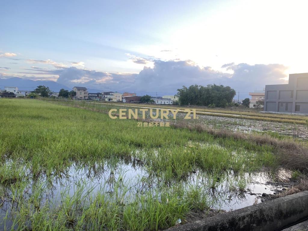 CC602壯圍中興段足坪農地