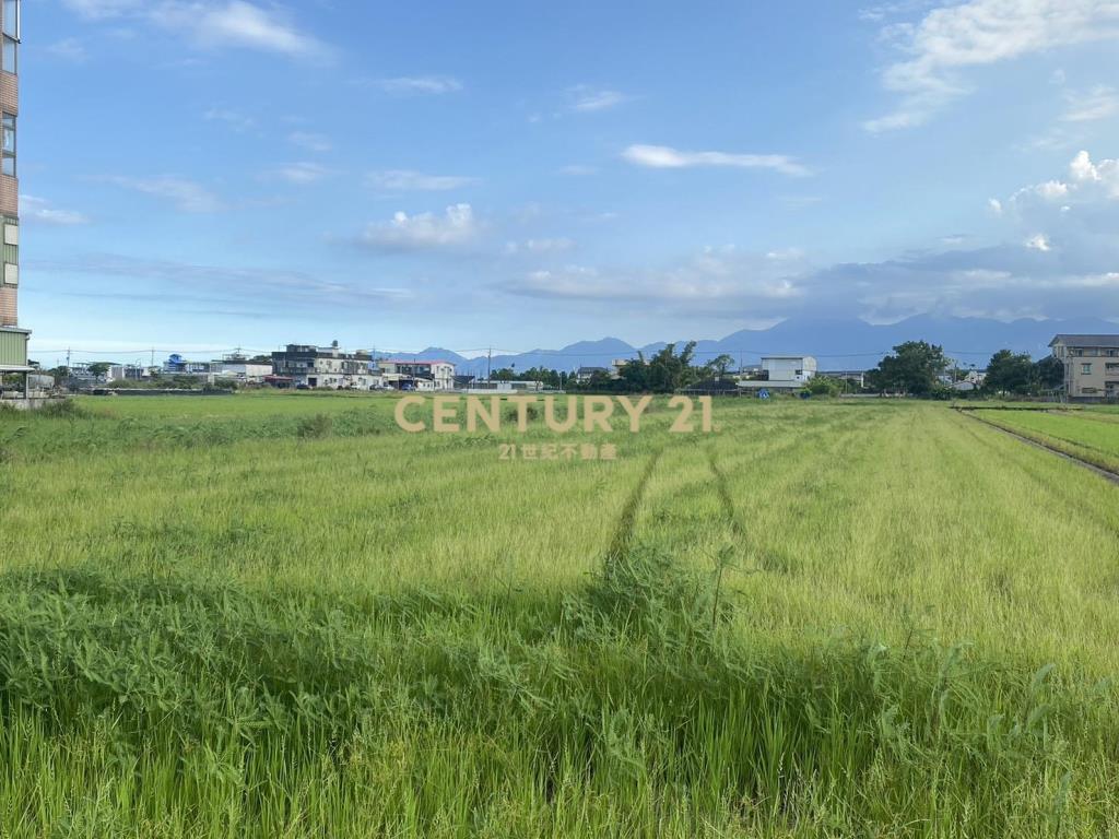 CC602壯圍中興段足坪農地