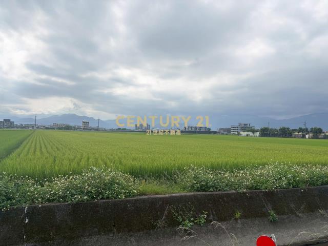 CC603高鐵擴大區增值農地