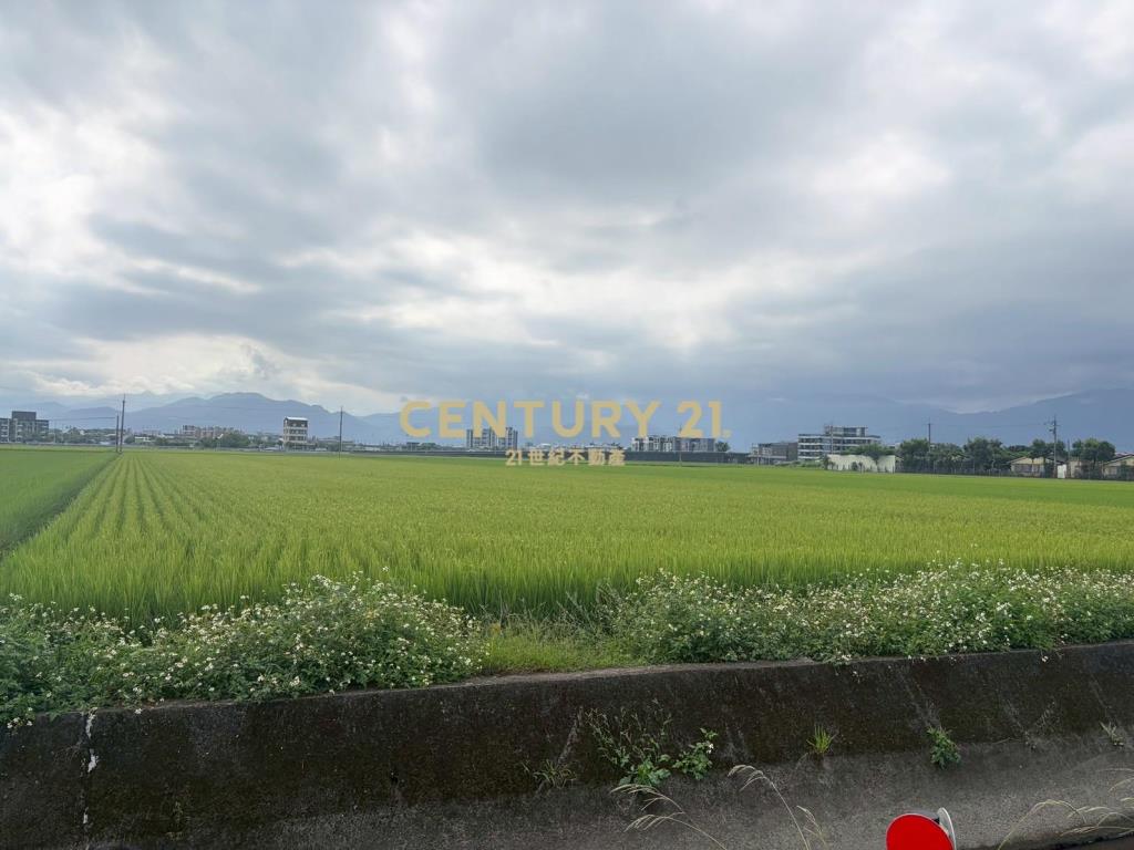 CC603高鐵擴大區增值農地