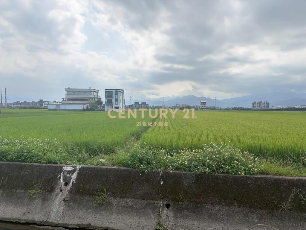 CC603高鐵擴大區增值農地