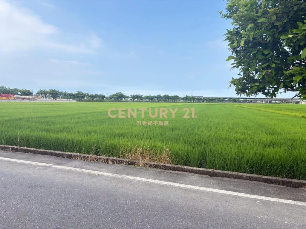CC603高鐵擴大區增值農地