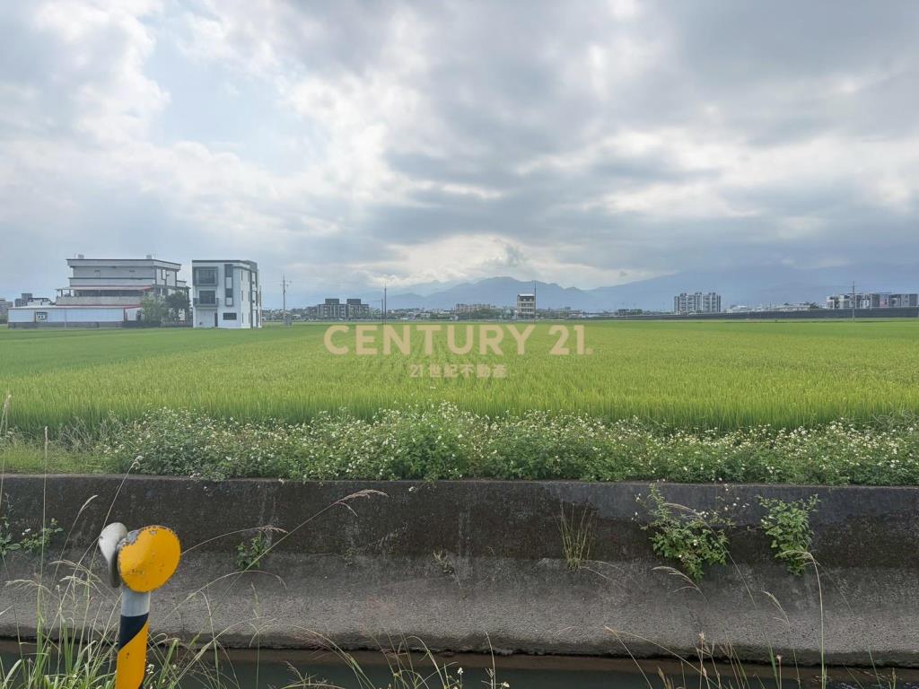 CC603高鐵擴大區增值農地