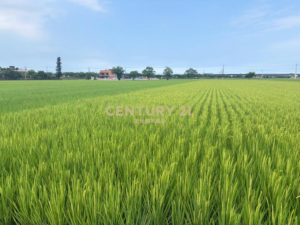 CC603高鐵擴大區增值農地
