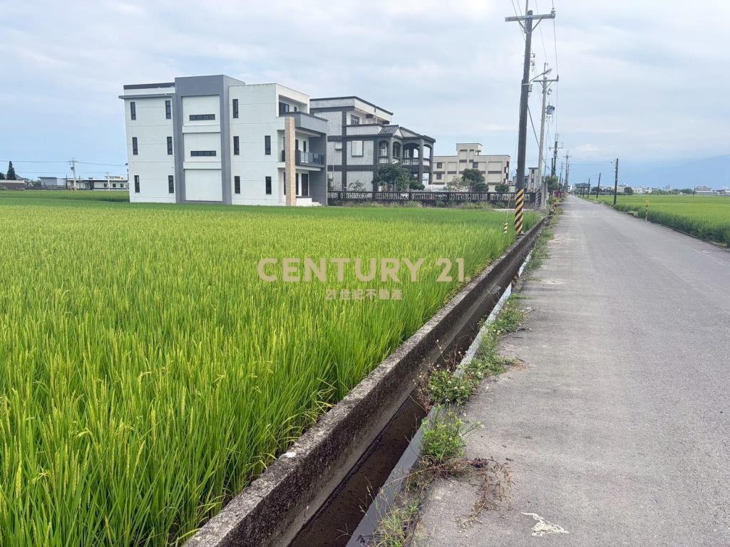 CC603高鐵擴大區增值農地