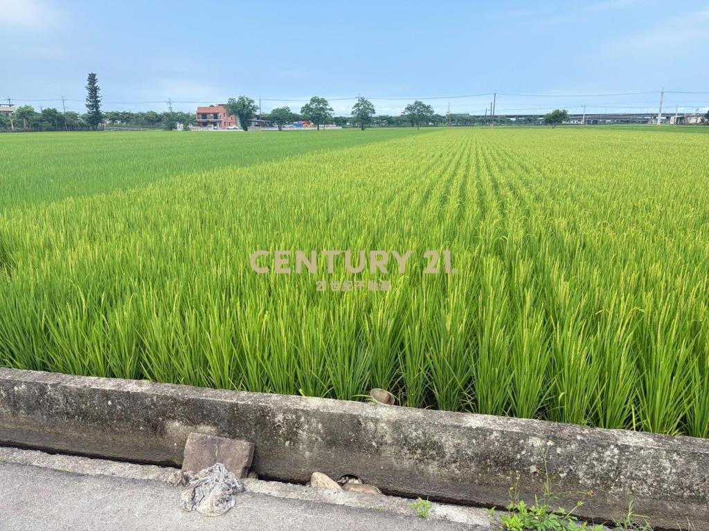 CC603高鐵擴大區增值農地