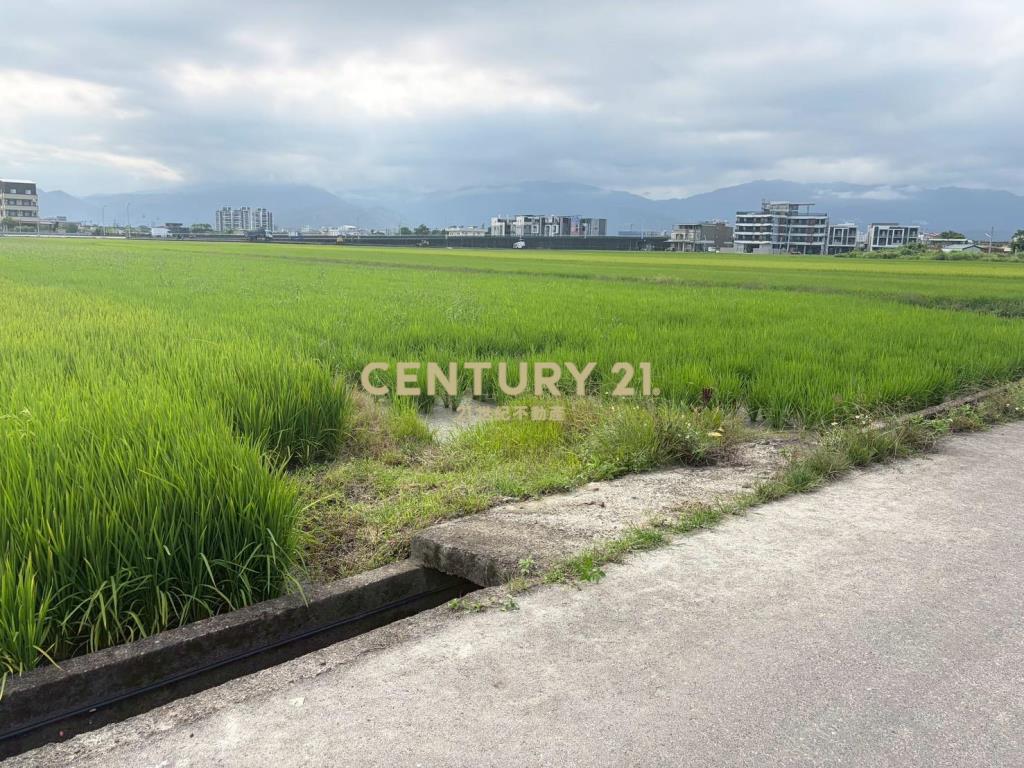 CC603高鐵擴大區增值農地