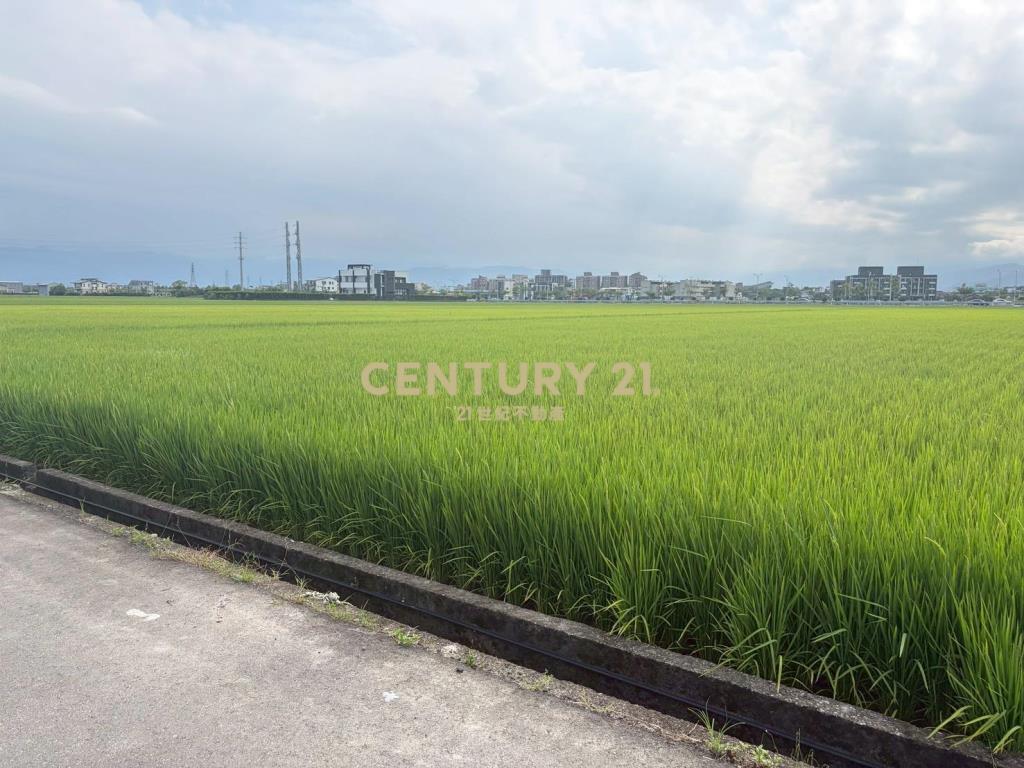 CC603高鐵擴大區增值農地