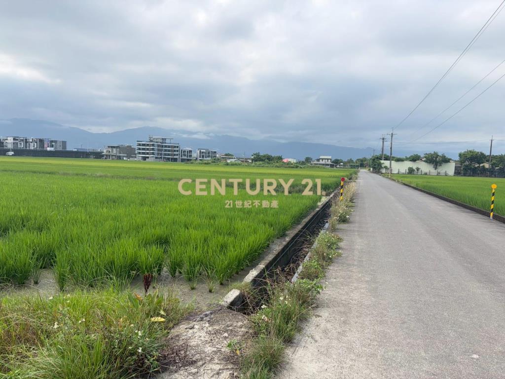 CC603高鐵擴大區增值農地