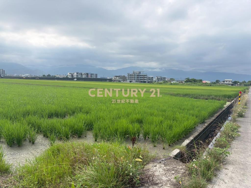 CC603高鐵擴大區增值農地