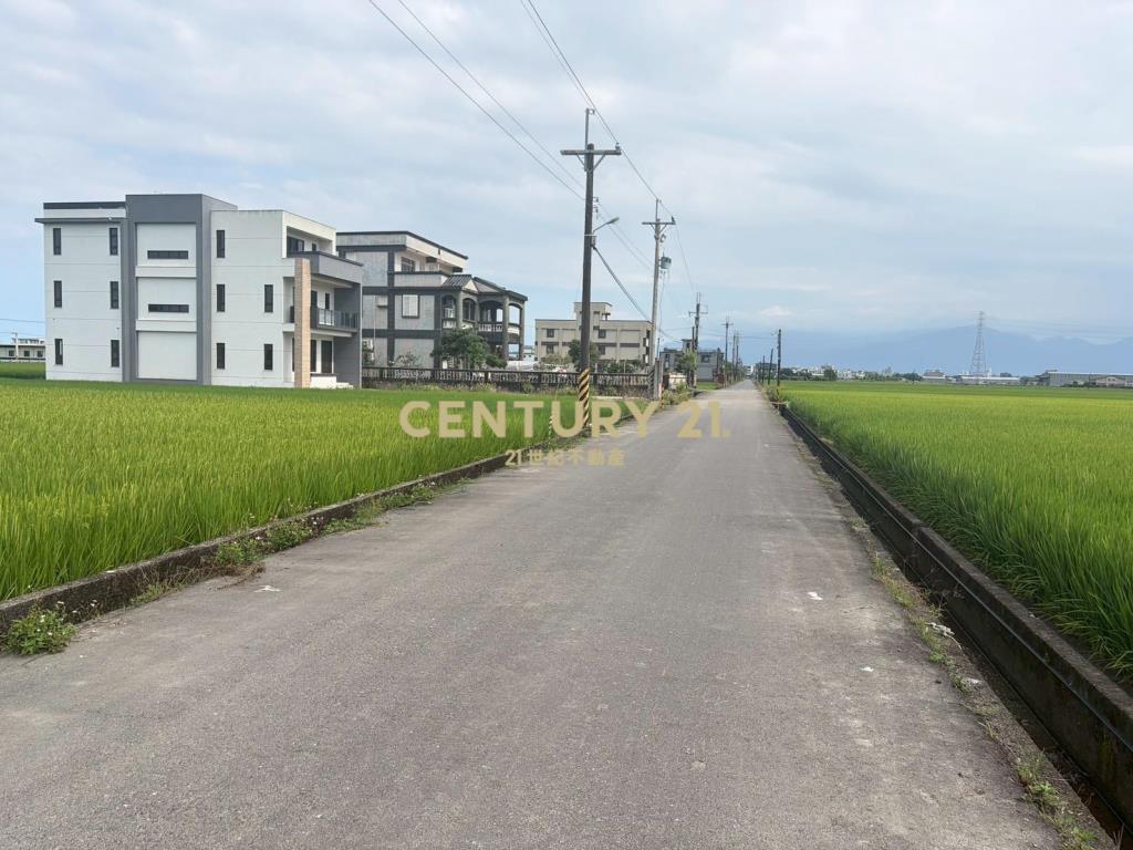 CC603高鐵擴大區增值農地