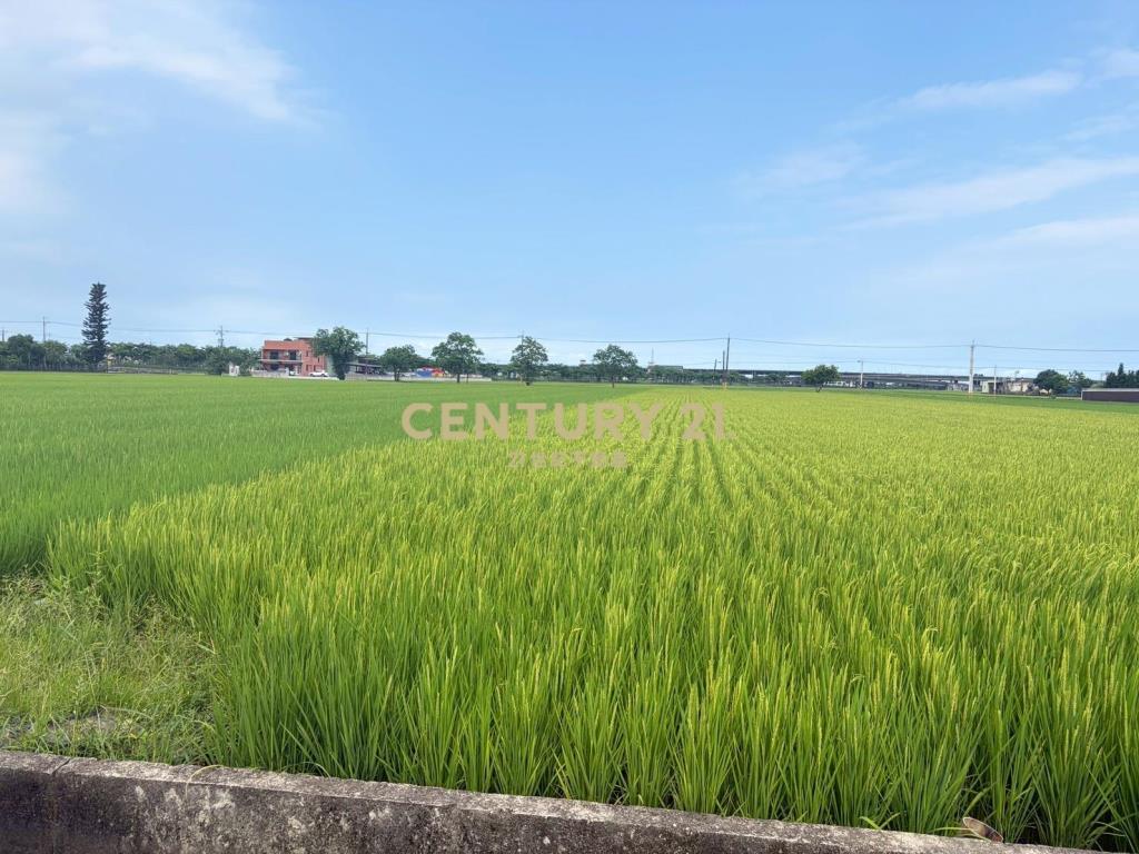 CC603高鐵擴大區增值農地