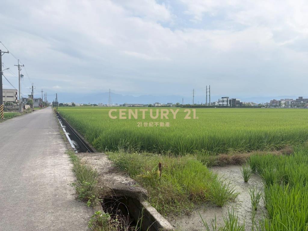 CC603高鐵擴大區增值農地