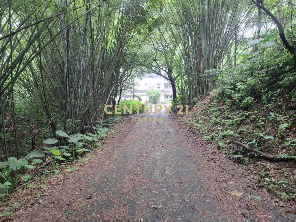 CD168礁溪持分建地