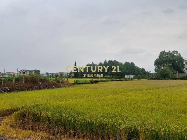 CC605宜市湧泉農地