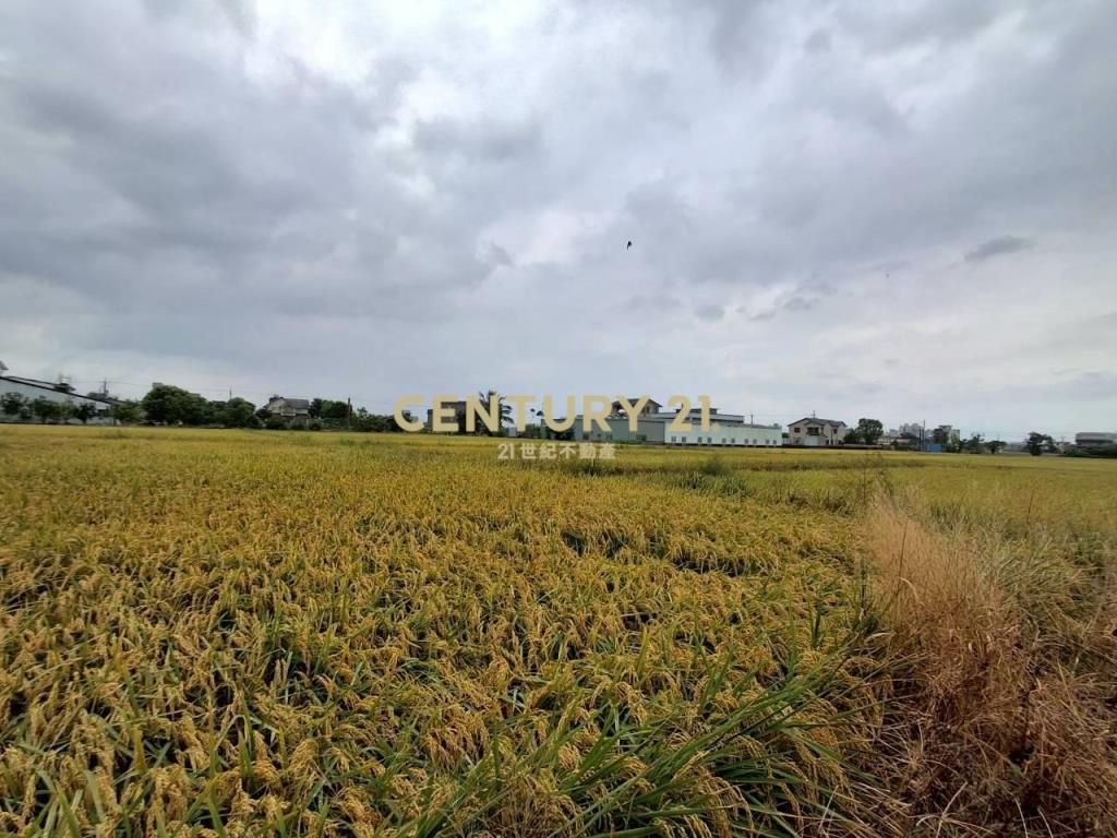 CC605宜市湧泉農地