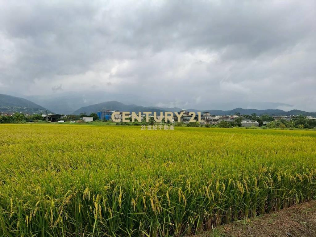 CC605宜市湧泉農地