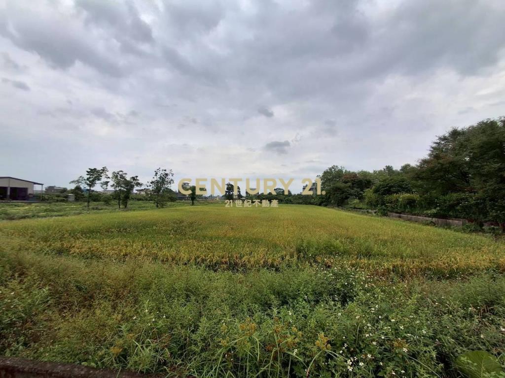 CC605宜市湧泉農地
