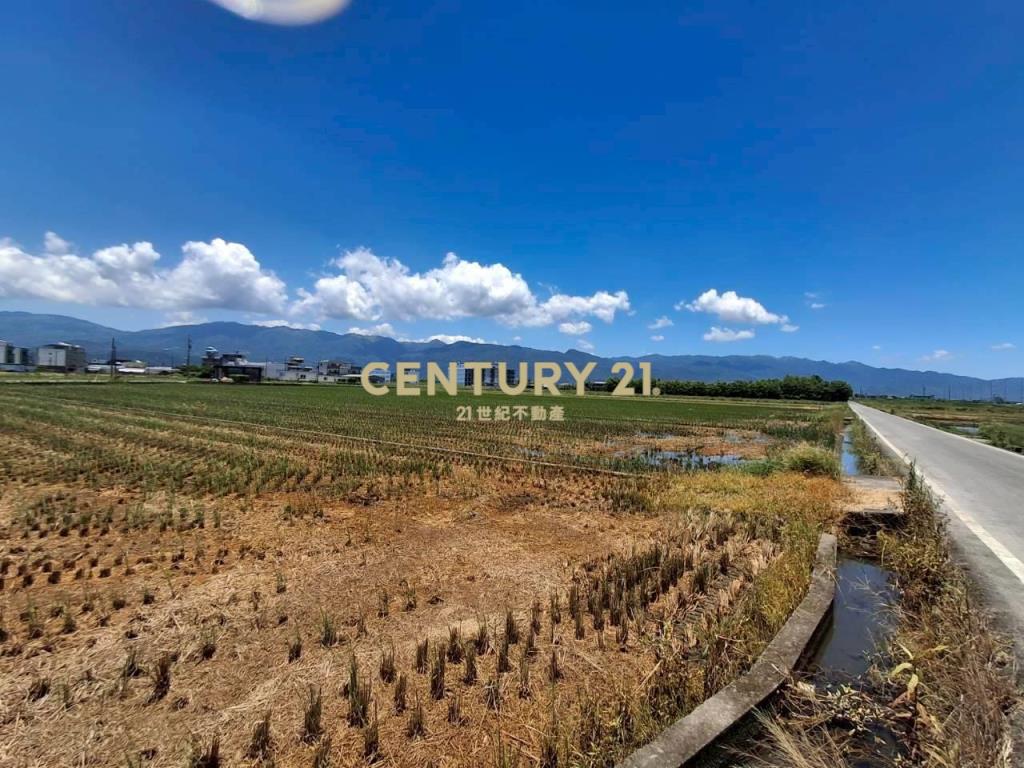 CC606壯圍暸望龜山島足坪農地