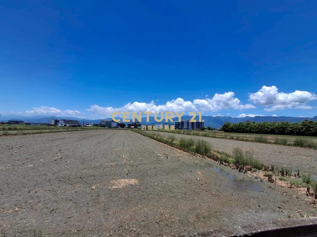 CC606壯圍暸望龜山島足坪農地
