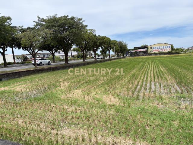CC608三星大馬路旁足坪農地