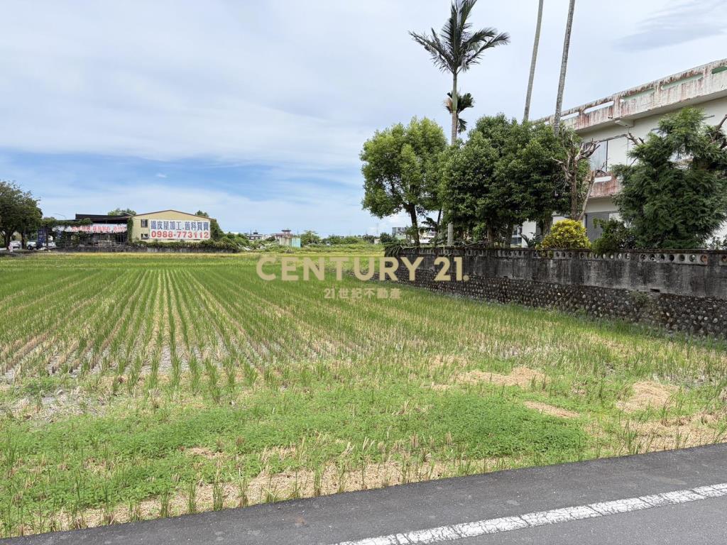 CC608三星大馬路旁足坪農地