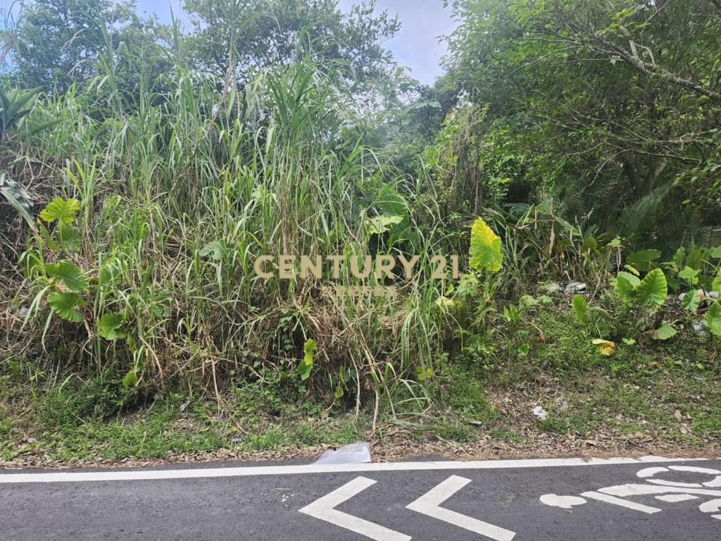 CC614蘇澳新馬都市計畫林地