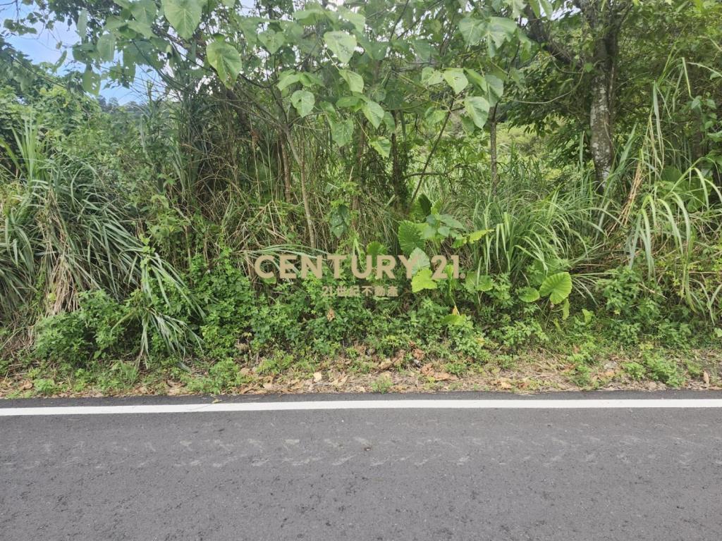 CC614蘇澳新馬都市計畫林地