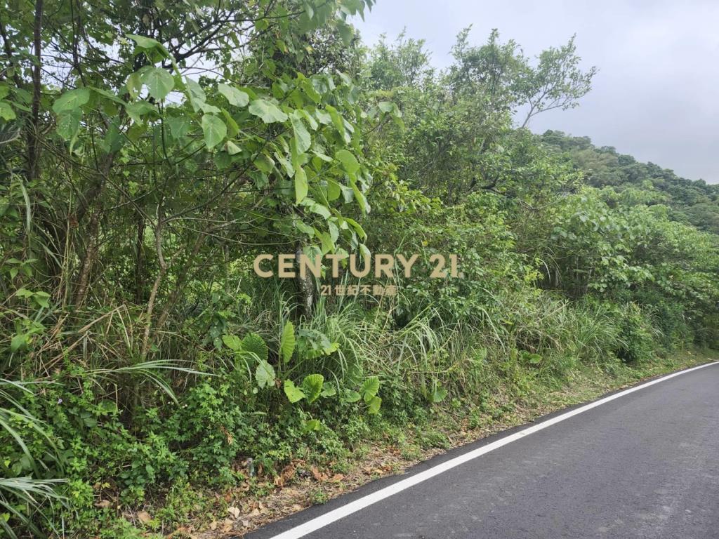 CC614蘇澳新馬都市計畫林地